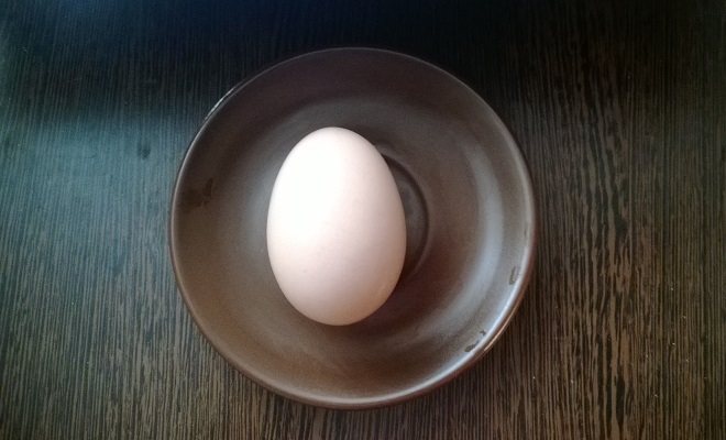  Яйцо курицы мясного направления
